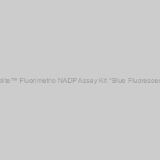Image of Amplite™ Fluorimetric NADP Assay Kit *Blue Fluorescence*